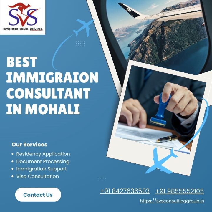Best Immigration Consultant in Mohali